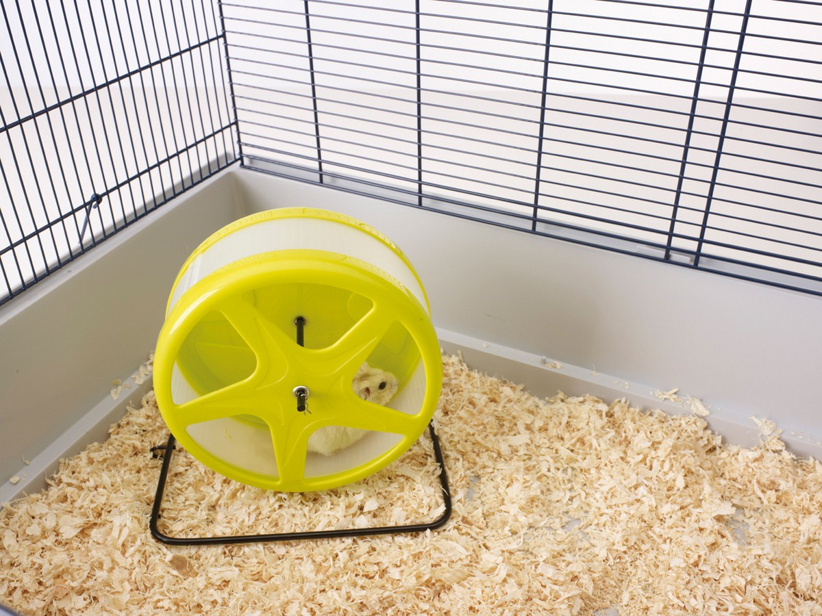 RODENT WHEEL "ORBITAL", ? 18,5 CM