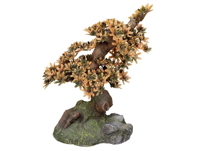 Accesorii pesti | Ornament pentru acvariu | "BONSAI" | L10,5 X W16 X H19 CM