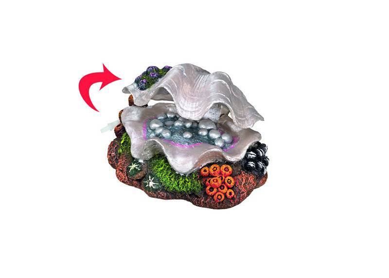 Accesorii pesti | Ornament pentru acvariu | "CLAM" | L17,5 X W13 X H10 CM