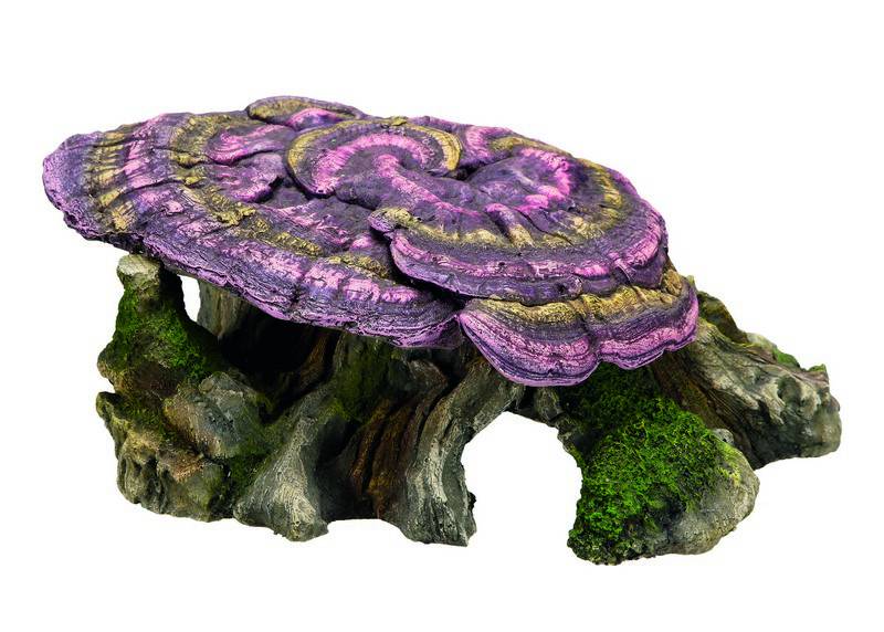 Accesorii pesti | Ornament pentru acvariu | "WOOD STUMP WITH MUSHROOM" | L28 X W17 X H11,