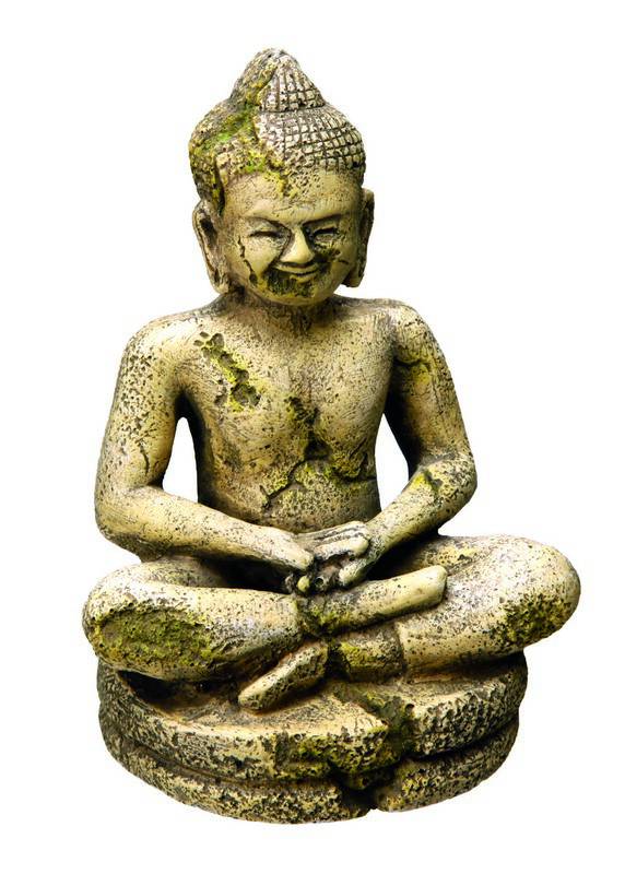 Accesorii pesti | Ornament pentru acvariu | "BUDDHA" | L9 X W7,5 X H12,5 CM