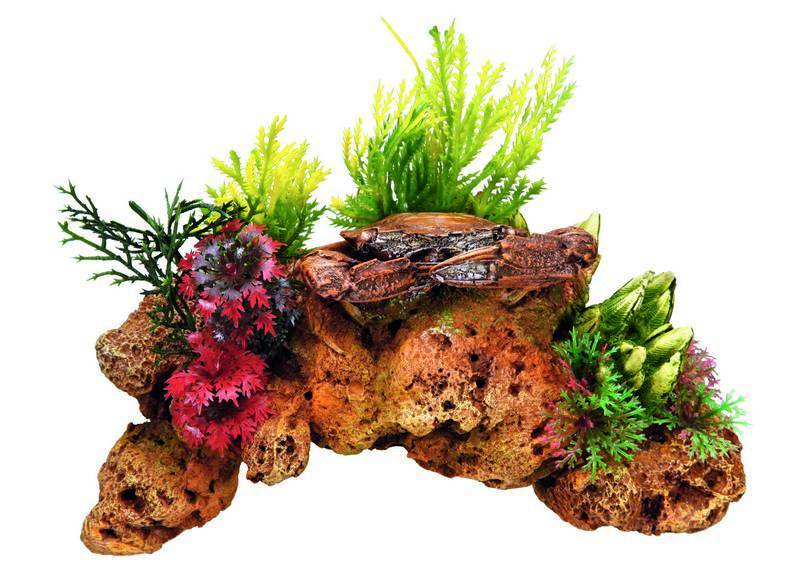 Accesorii pesti | Ornament pentru acvariu | "CORAL STONE" - cu plante | L16,5 X W9,5 X