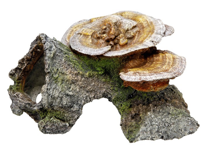 Accesorii pesti | Ornament pentru acvariu | "WOOD CAVE WITH MUSHROOMS" | L18 X W19 X H10