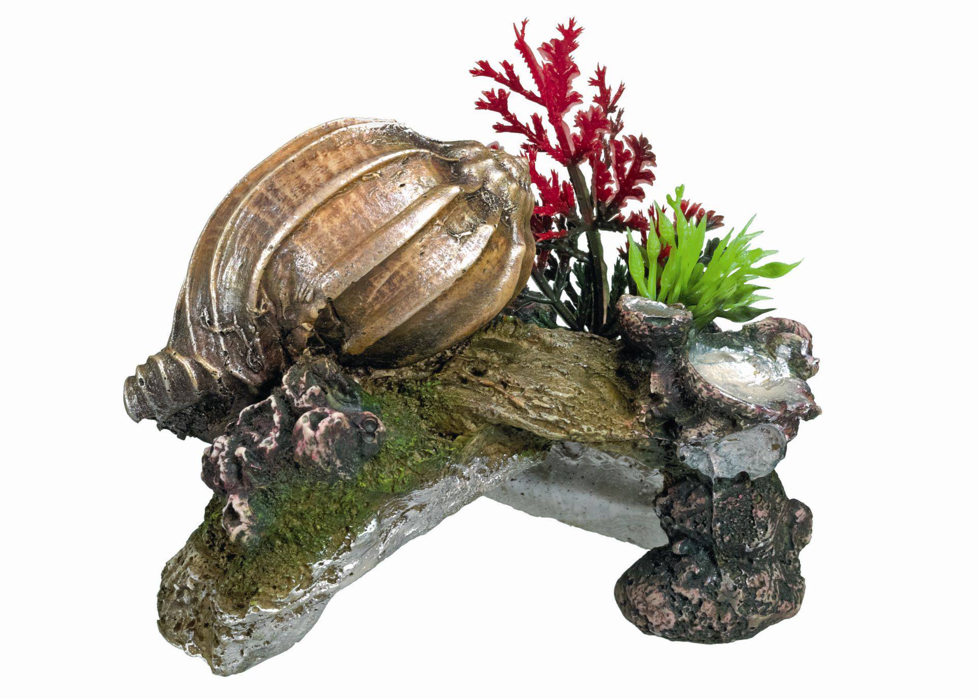 Accesorii pesti | Ornament pentru acvariu | "SHELL" cu plante | L11 X W7,5 X H8,5 CM