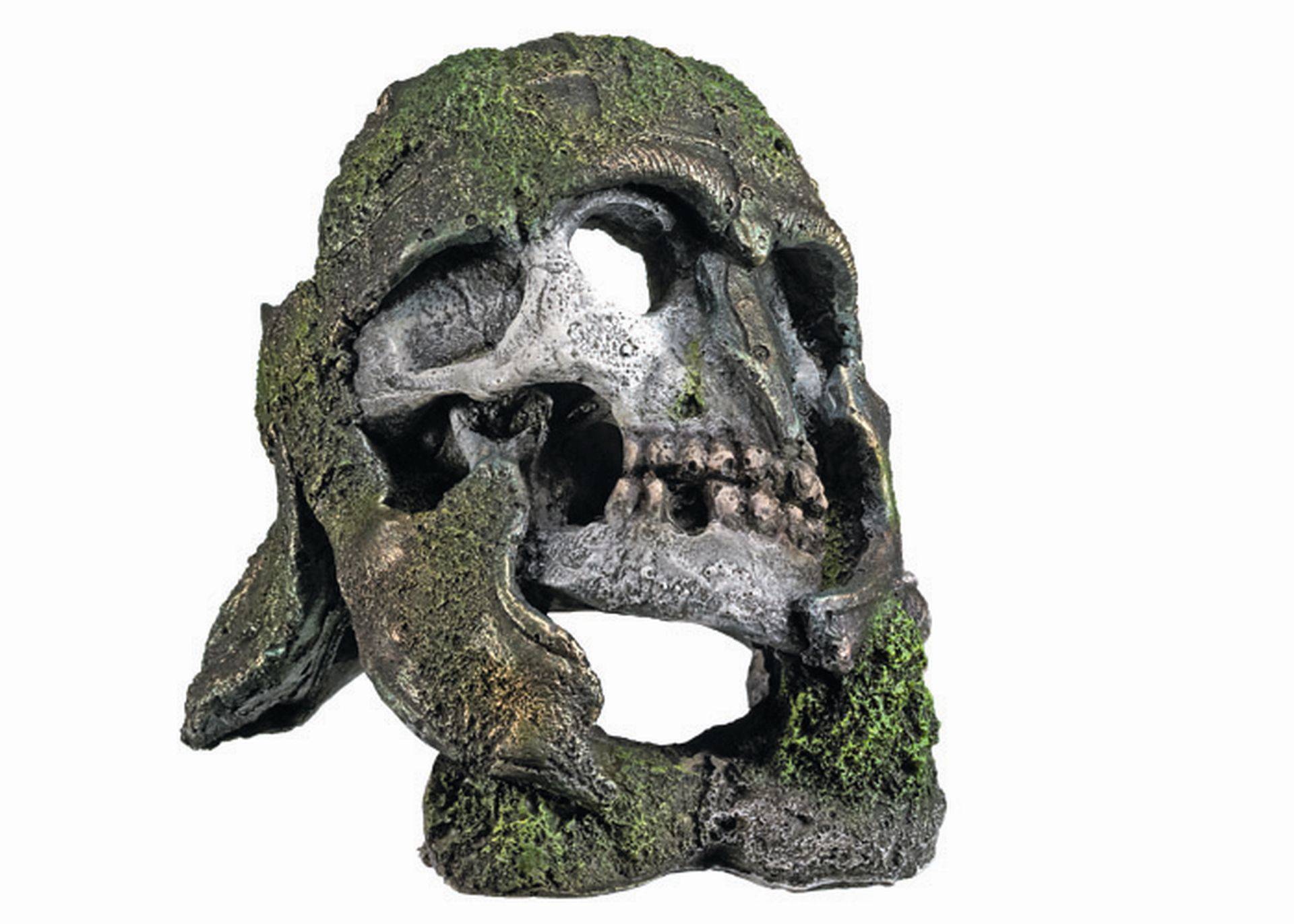 Accesorii pesti | Ornament pentru acvariu | "SKULL WITH HELMET" | L13 X W12,5 X H11 CM