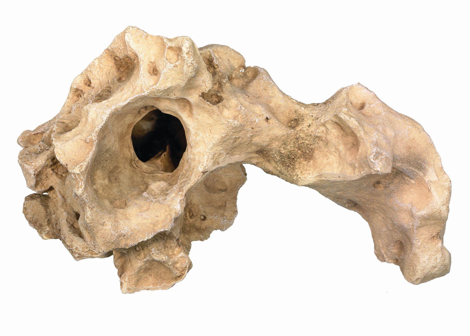 Accesorii pesti | Ornament pentru acvariu | "ROCK" | L23,5 X W13 X H13 CM