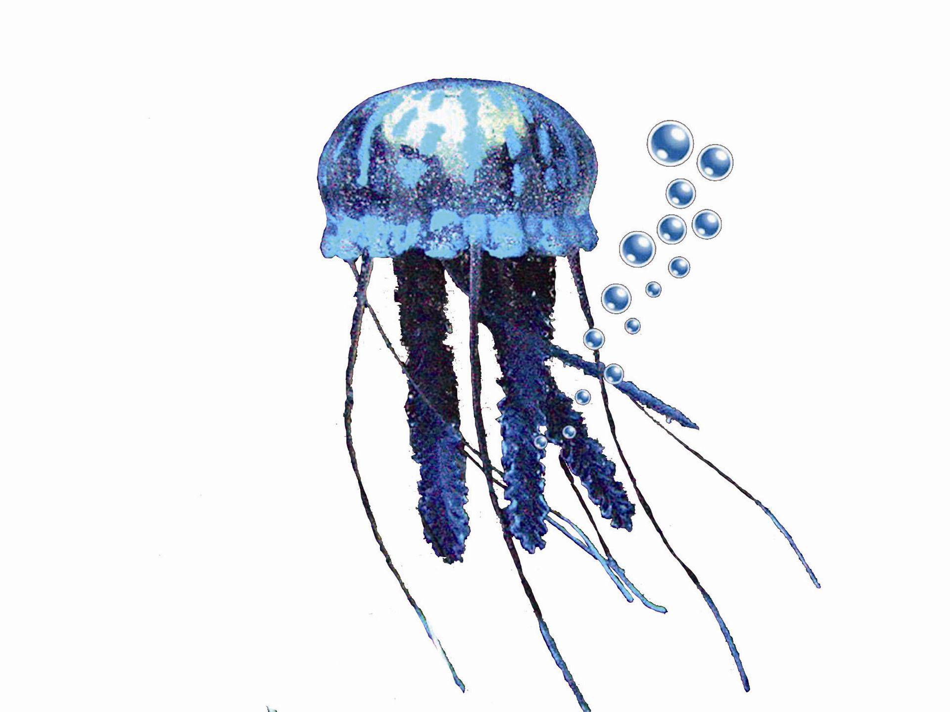 Accesorii acvarii |  "JELLYFISH" 10 CM |