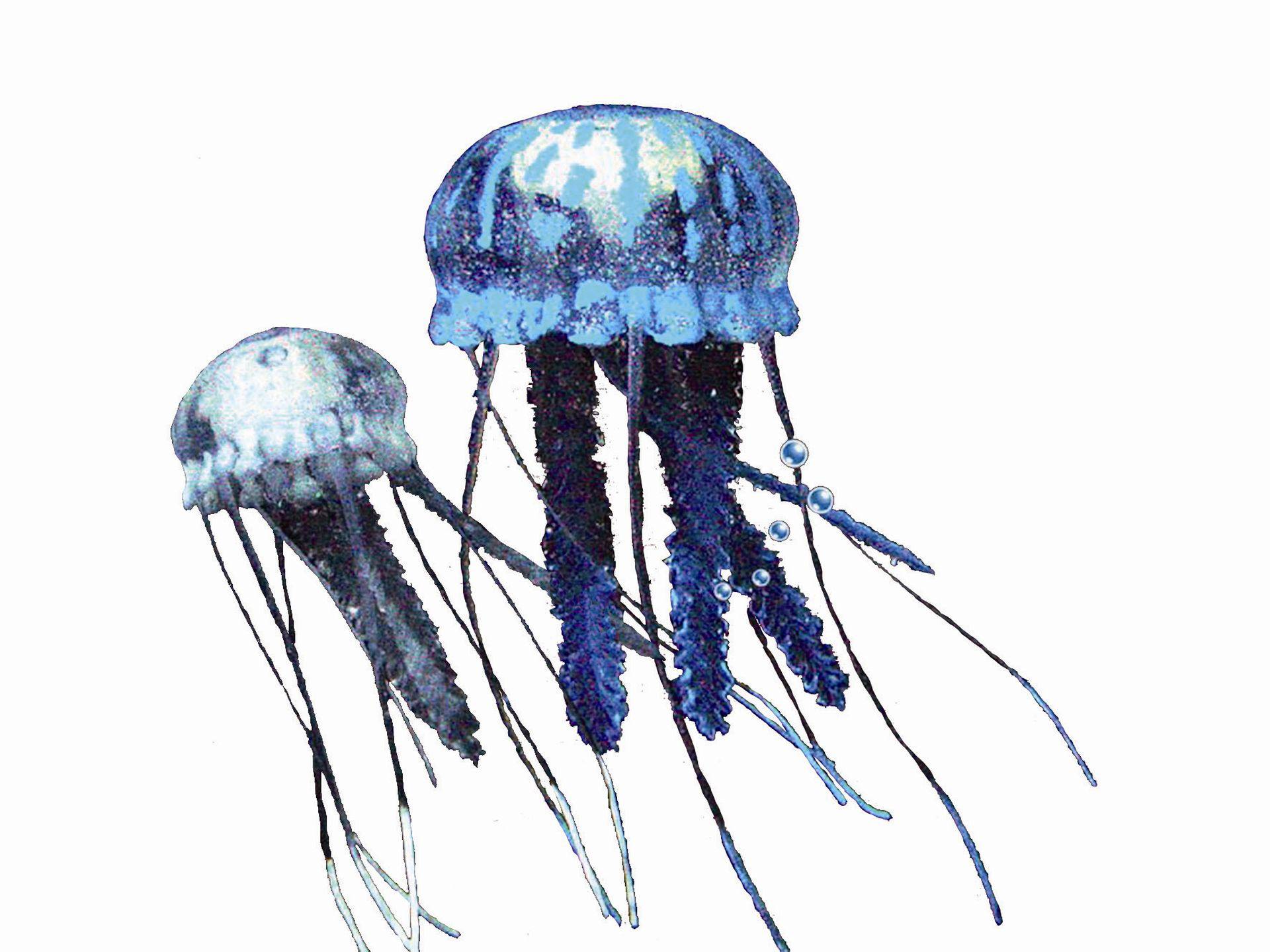 Accesorii acvarii |  "JELLYFISH" | asortat | 5,5 CM + 3,5 CM | 2 buc.