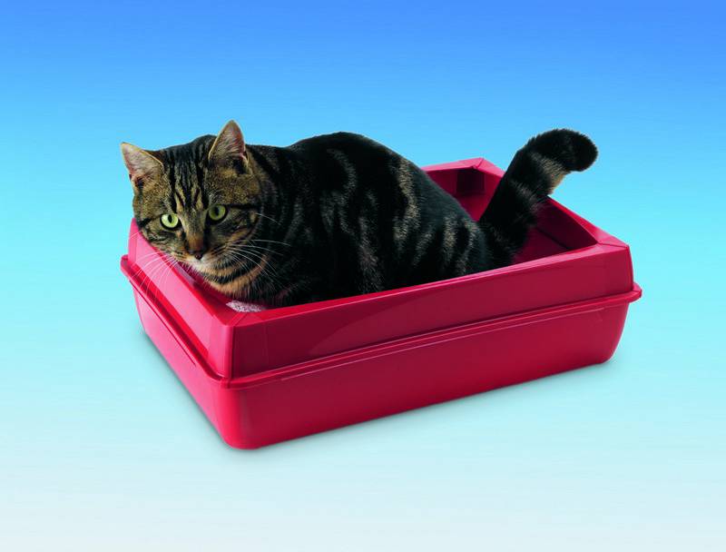 Produse igiena pisici | Litiera pentru pisici "FLAPPY" | culori asortate | 44,5 X 31 X 13 CM