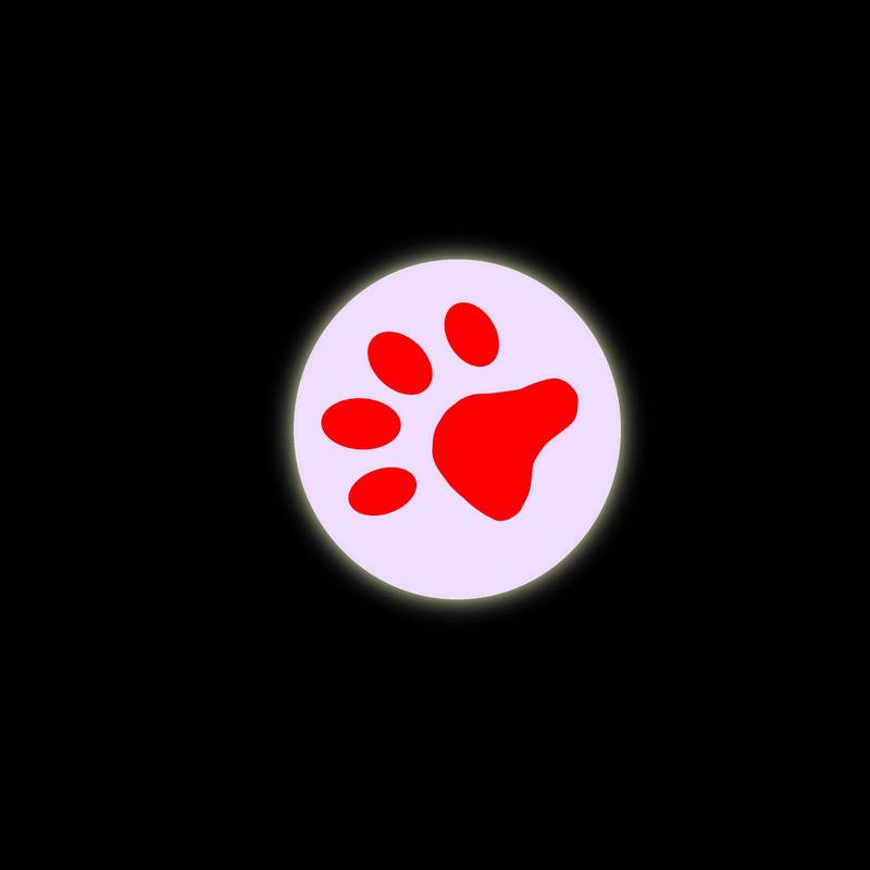 Jucarii pisici | Jucarie cu LED "PAW" | DISPLAY 12 buc.