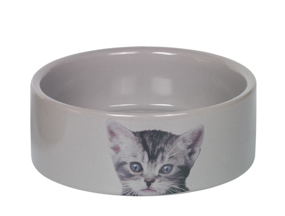 Castron pisici | Castron din ceramica pentru pisici "Cute" | gri | Ø 12,0 x 4,5 cm, 0,25 l
