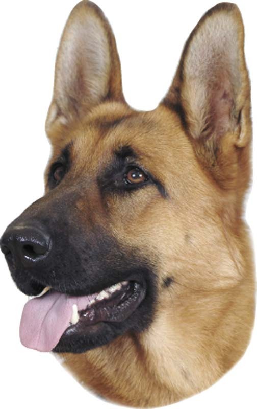 STICKER GERMAN SHEPHERD DARK, 120 X 150 MM