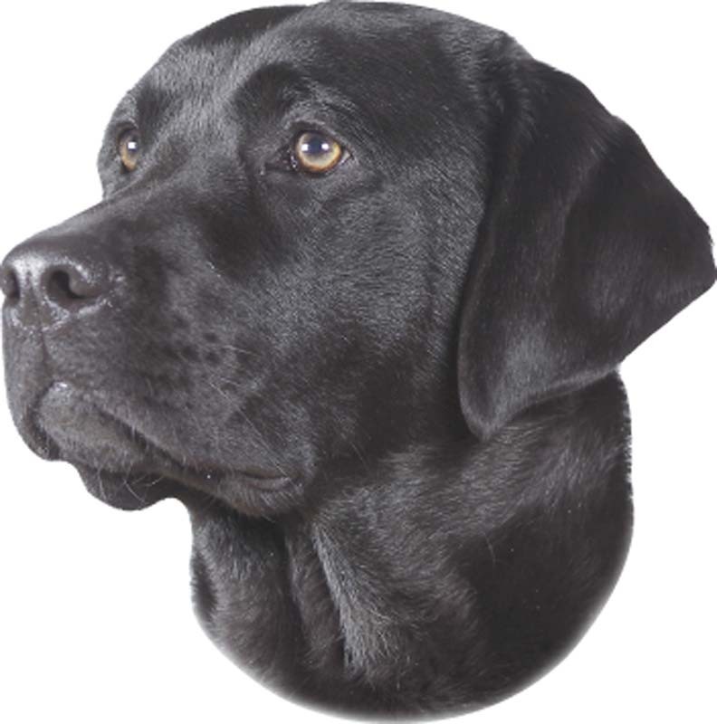 STICKER LABRADOR BLACK, 120 X 150 MM; 2 PCS