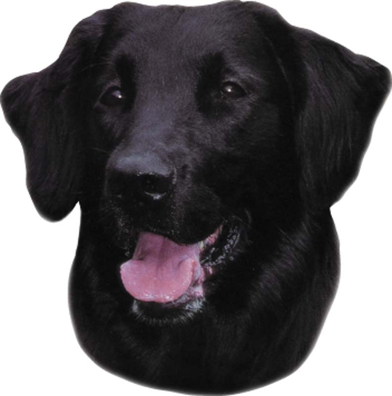 STICKER FLAT COATED RETRIEVER, 120 X 150 MM; 2 PCS