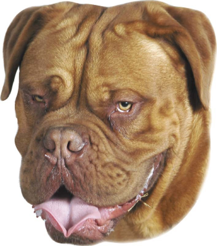 STICKER BORDEAUX MASTIFF, 120 X 150 MM; 2 PCS