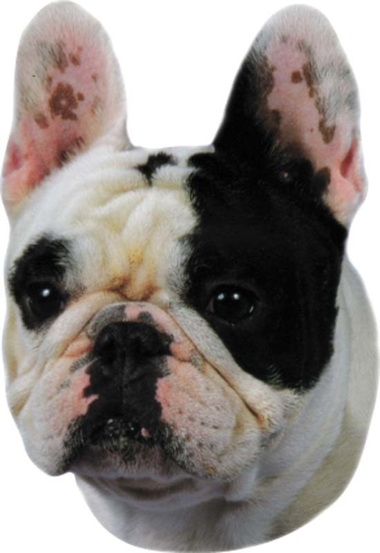 STICKER FRENCH BULLDOG, 120 X 150 MM; 2 PCS