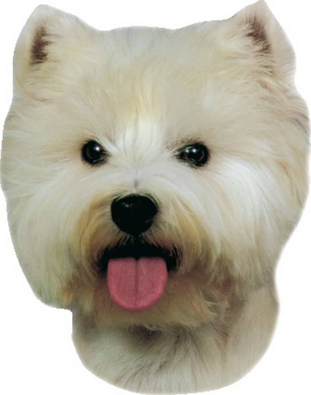 Accesorii caini | Autocolant "WEST HIGHLAND TERRIER" | 120 X 150 MM; 2BUC.